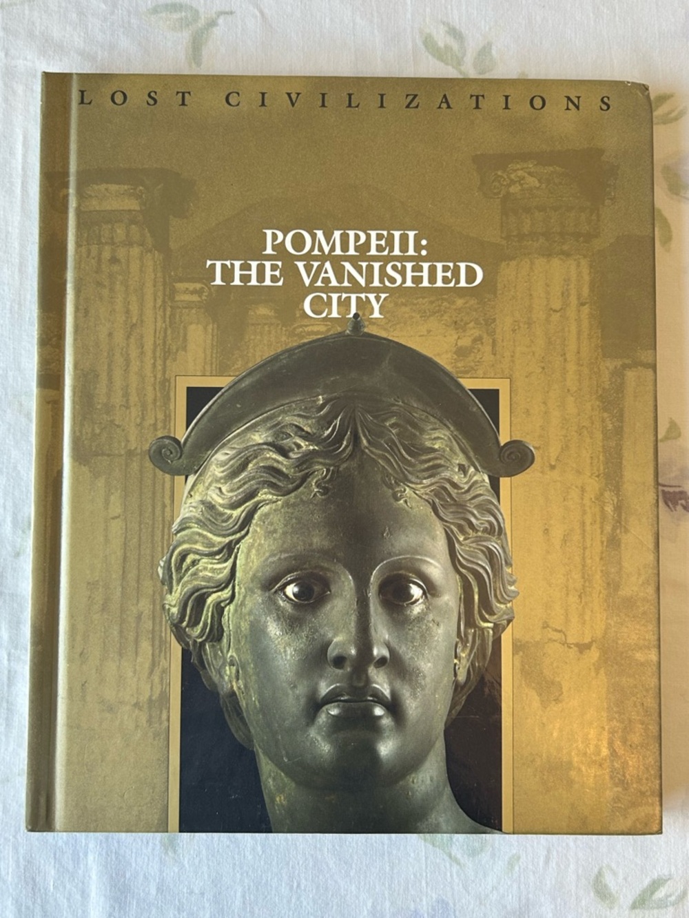 90s Vintage Historical Academia 
Pompeii: The Vanished City Book